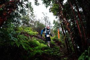 BIB: 
                            <button type="button" onclick="openModal(26205049)" class="btn btn-primary btn-sm float-right btn-popup" data-toggle="modal" data-target=".modal-high-quality">
                        <i class="fas fa-shopping-cart"></i> Add to Cart
                    </button>
                                            <button type="button" onclick="isThisMe(26205049, true)" class="btn btn-success btn-sm float-right btn-popup btn-isme hidden" data-toggle="tooltip" data-placement="bottom" title="นี่คือรูปของคุณใช่ไหม คลิกที่นี่เพื่อเอาเข้าอัลบั้ม">
                        <i class="fas fa-plus"></i> Add to album
                    </button>
                    <button type="button" onclick="isThisMe(26205049, false)" class="btn btn-warning btn-sm float-right btn-popup btn-isnotme hidden">
                        <i class="fas fa-ban"></i> Remove from album
                    </button>